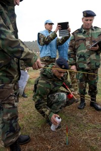 Attività di demarcazione della Blue Line
