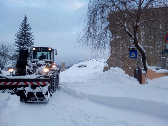 2c65e2e1-ec0e-4adb-b7bc-5872613ab92dimg_8326medium