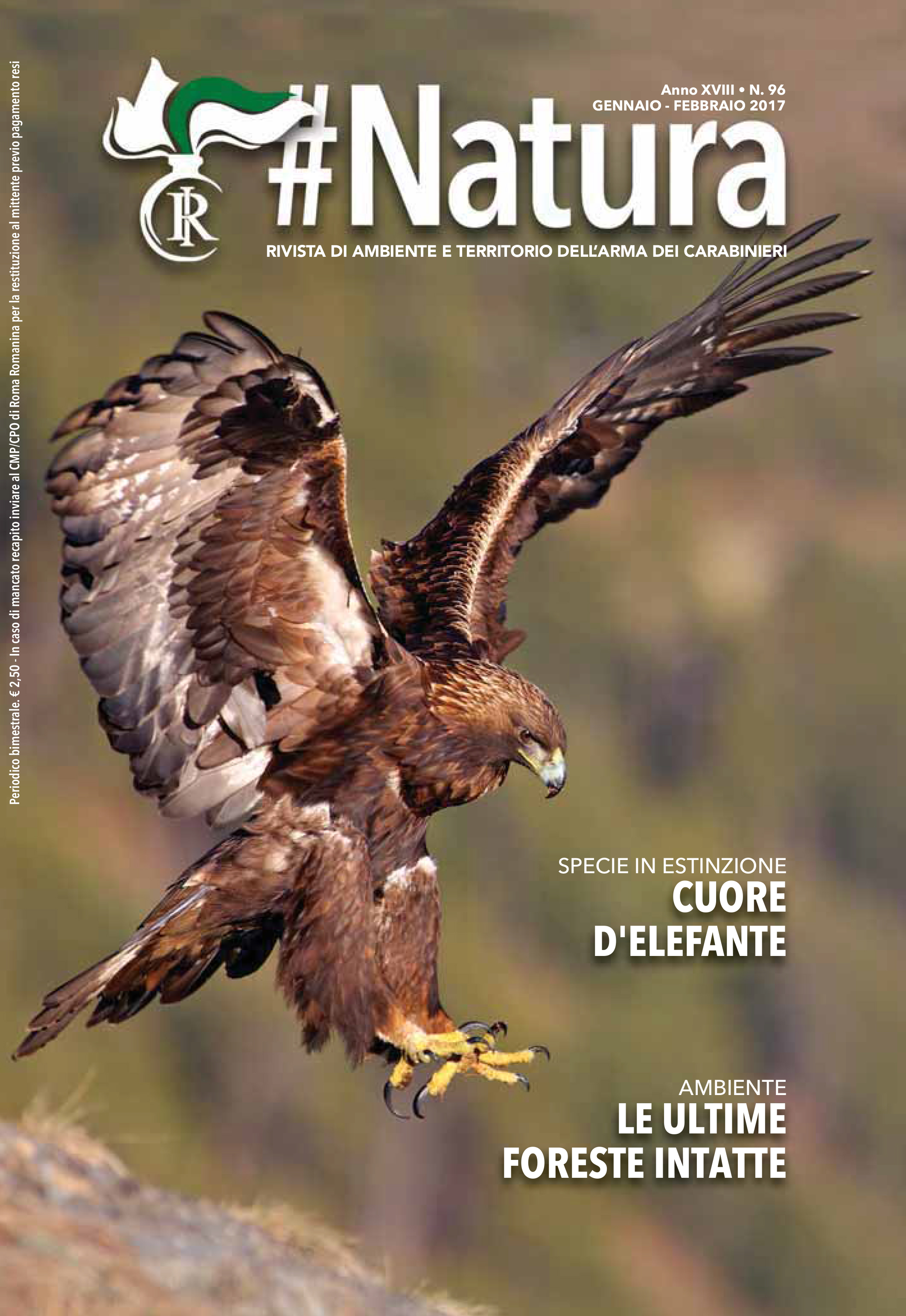 COPERTINA2017ok_9.qxp_Layout 1