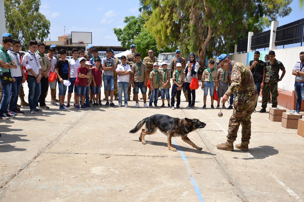 Il Mine Detection Dog è finalizzato al riconoscimento di particelle di sostanze esplosive fino a 30 cm sotto terra