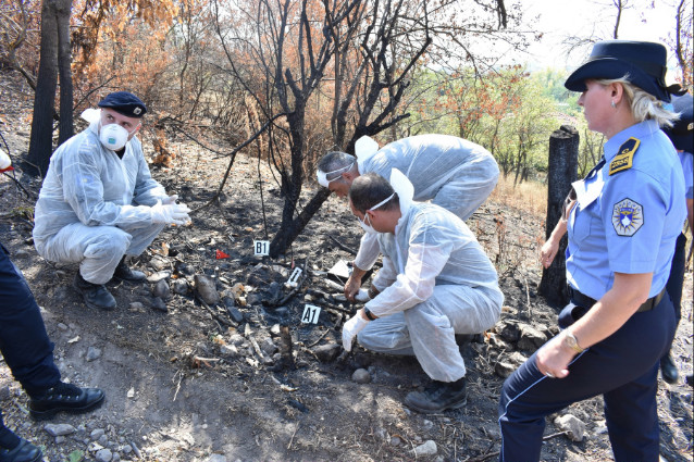 1c94e8eb-6f23-47d0-857a-2019009c4c3edec_0496Medium