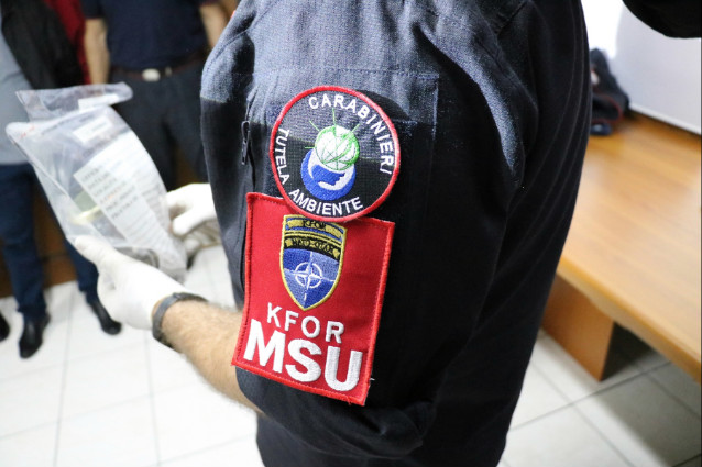 f07aca9e-24d5-47ad-86d1-176f9670080fimg_6179Medium