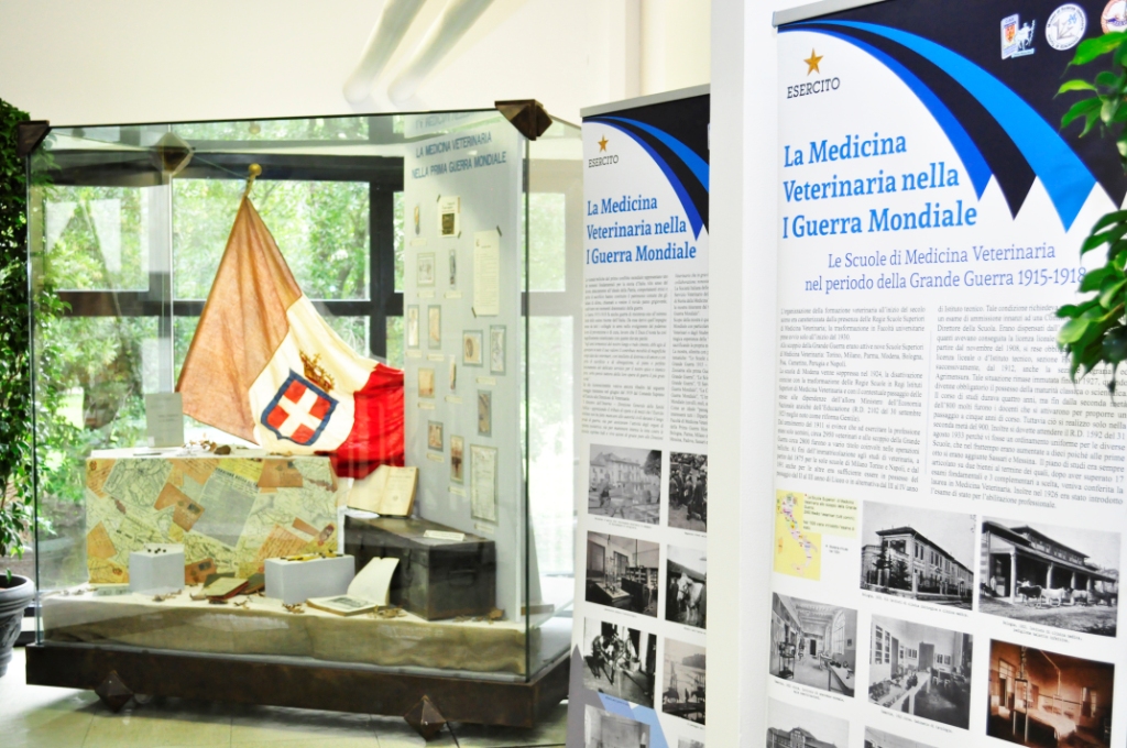 un momento della mostra 2