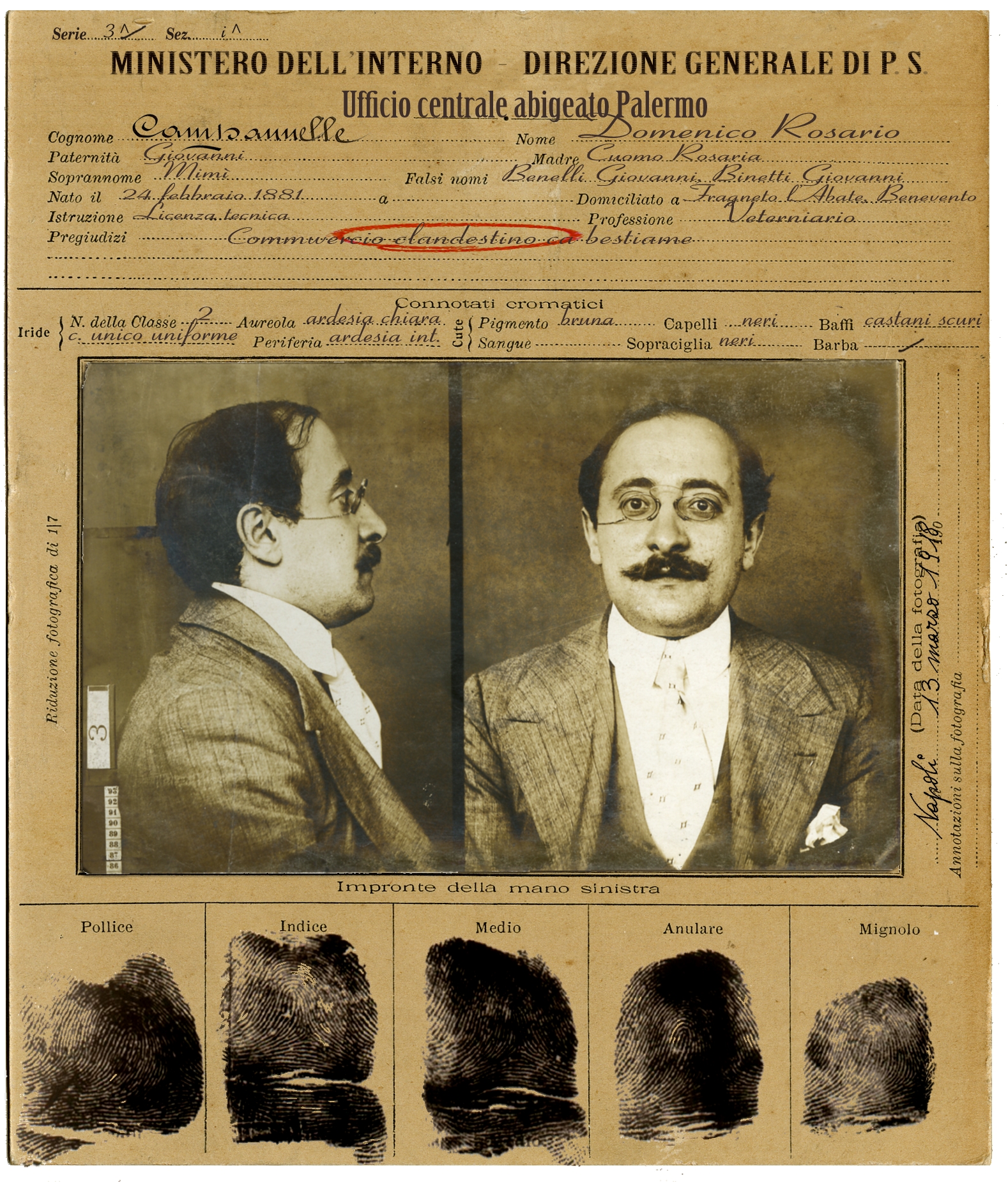 cartellino fotosegnaletico abigeato