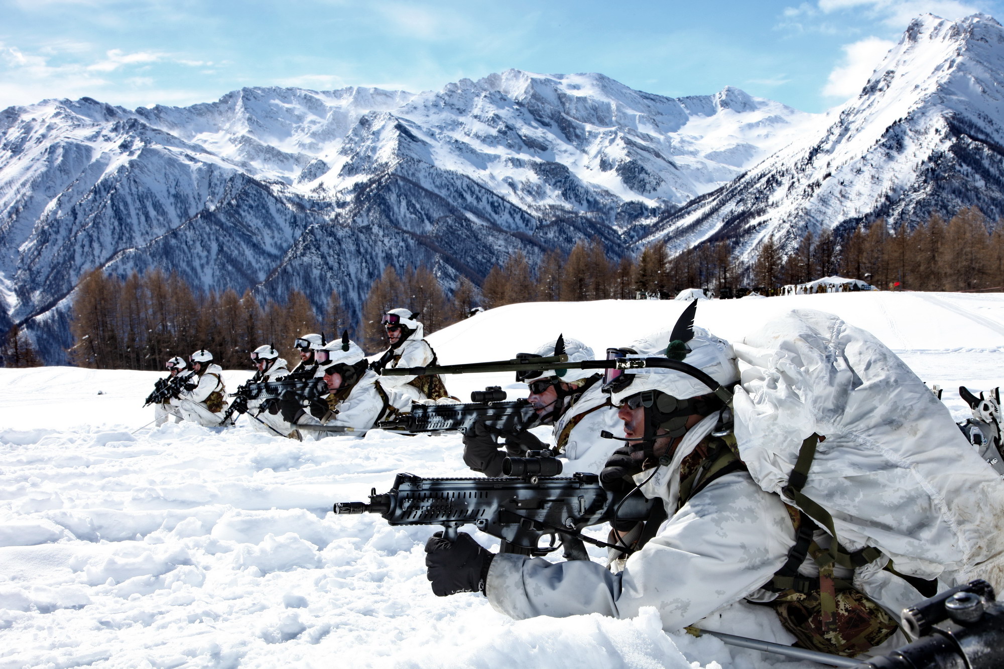 esercitazione Volpe bianca