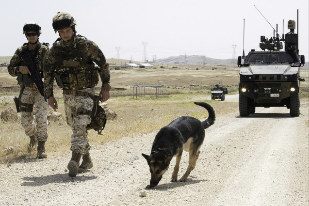 593a3cf5-4842-419e-8333-4bd48272c7e51Medium