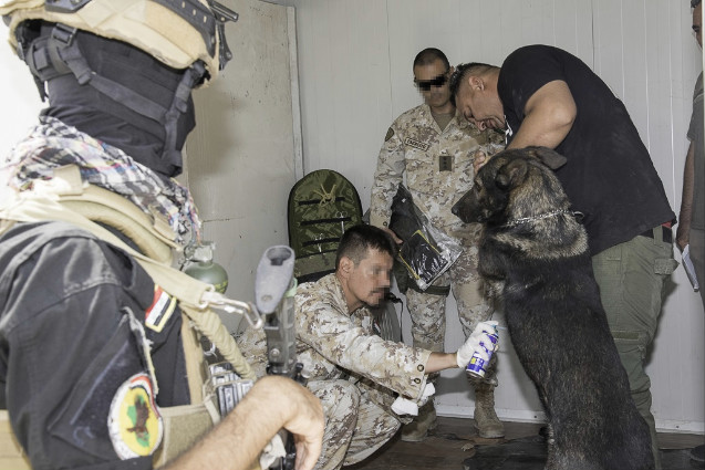 dfae9e65-5a70-4766-bd60-232ab7f0f2486Medium