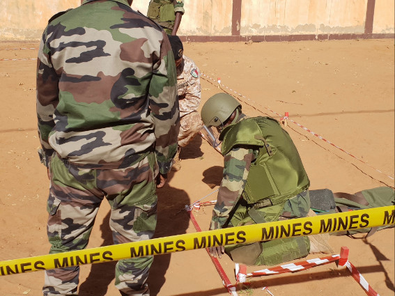 0bb18aff-b9a0-4db0-a453-d6d33da6dfbd20181123_094813Medium