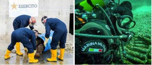 Difesa: operazione Esercito e Marina  per la bonifica di ordigni a caricamento speciale nella zona di&nbsp;Molfetta