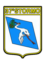 225px-37°Stormo-Patch