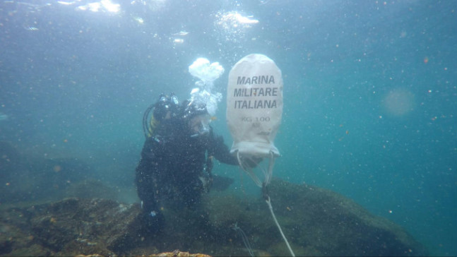 d2afbbd0-1a68-45c6-8918-aca7ba505a0bimg_0491Medium