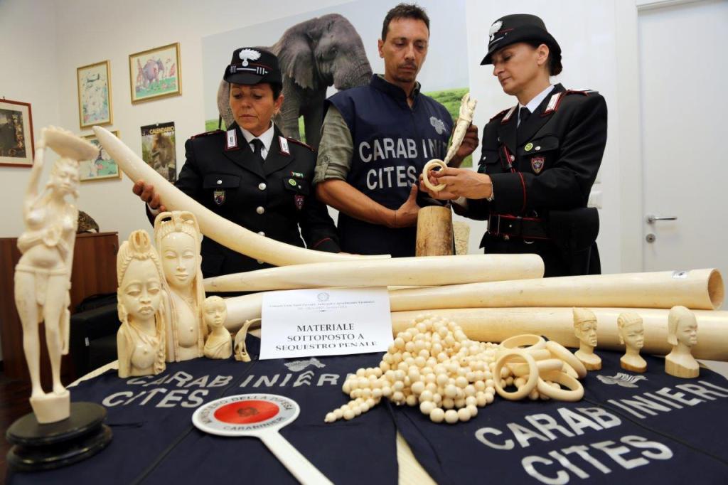 I Carabinieri CITES celebrano i 40 anni dalla Convenzione di Washington in&nbsp;Italia