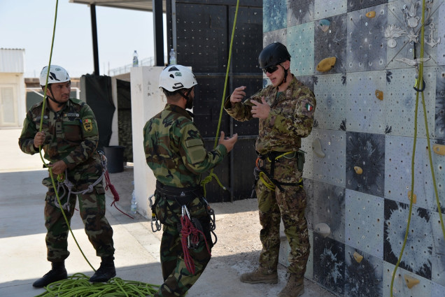 d5b355d5-a9ac-4fdc-8da8-1a599b48f7116Medium