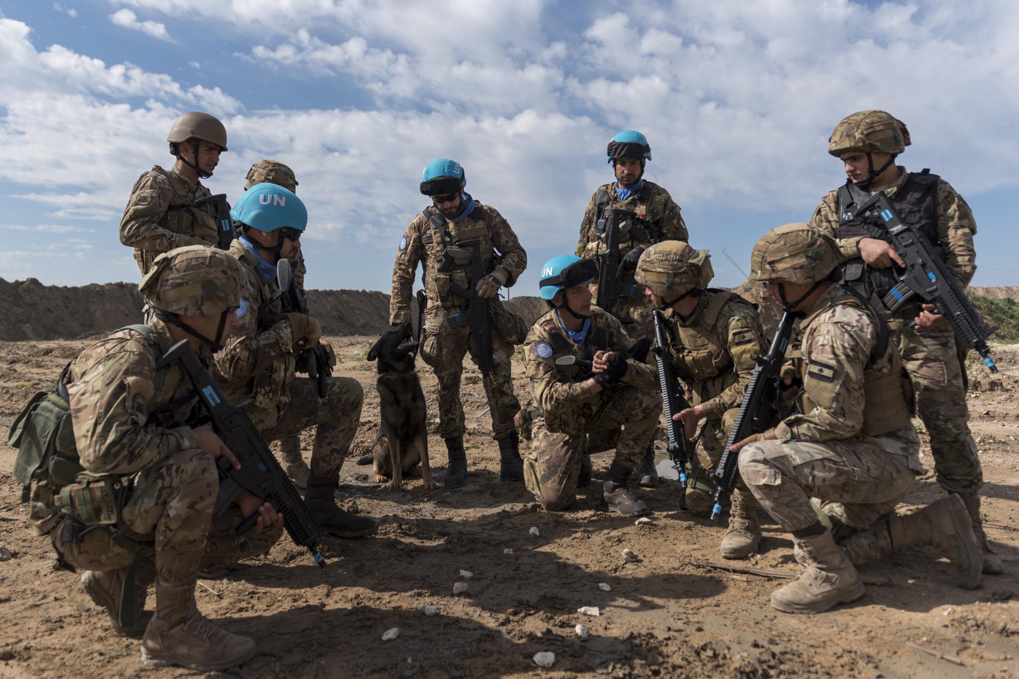 8 - fase dell'addestramento coordinato con le LAF