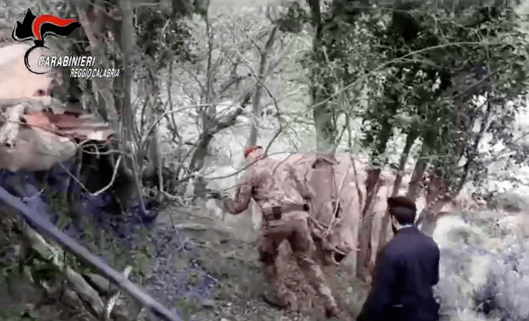 Schermata 2020-04-18 alle 16.09.52